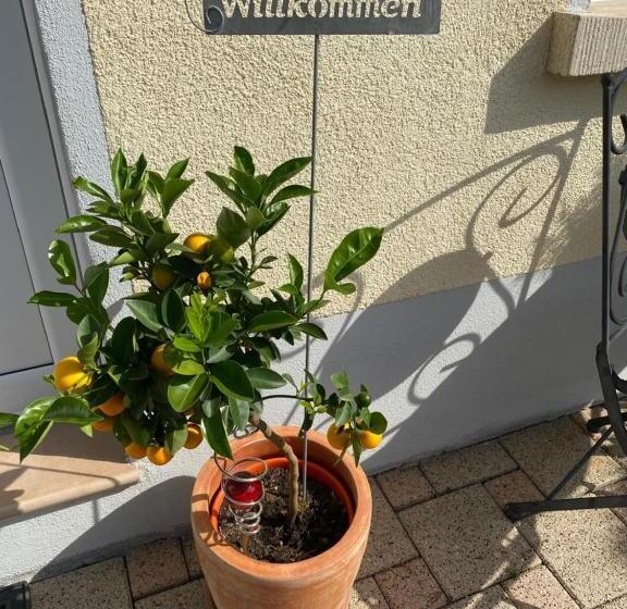 پانسیون Gästehaus Und Ferienwohnung Bächle