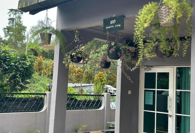 پانسیون 100 Oastel Coliving