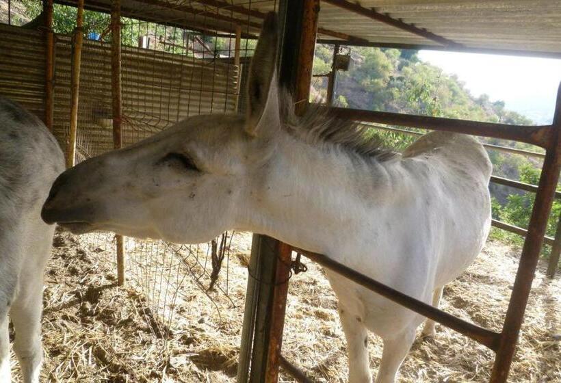 Bed and Breakfast Finca Los Burros