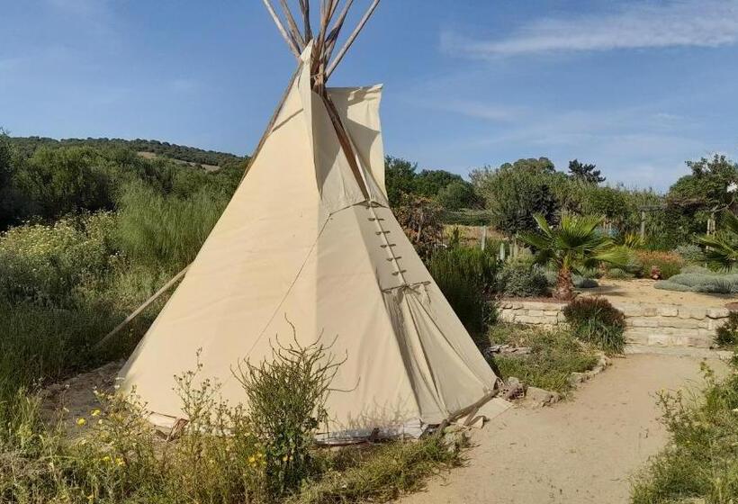 بنسيون Milagro De Algar