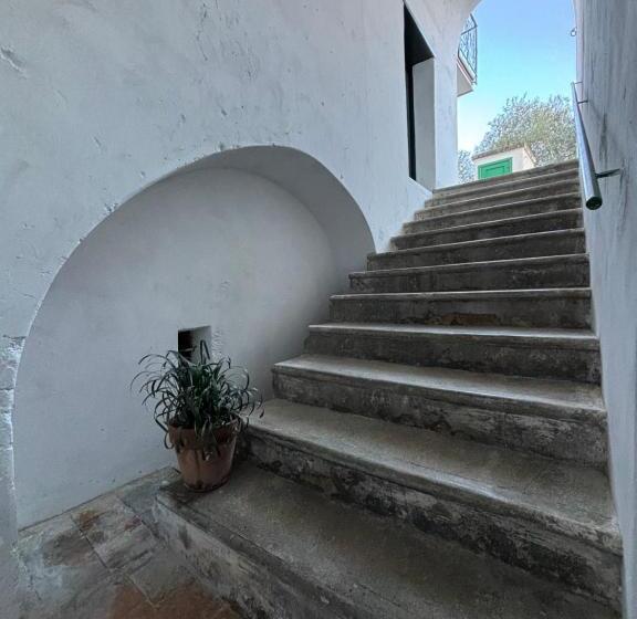 ベッドアンドブレックファースト Lucy S Guest House Amalfi Coast