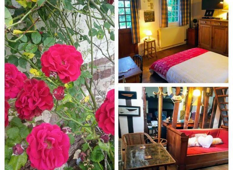 ベッドアンドブレックファースト The Goldfinch Normandy