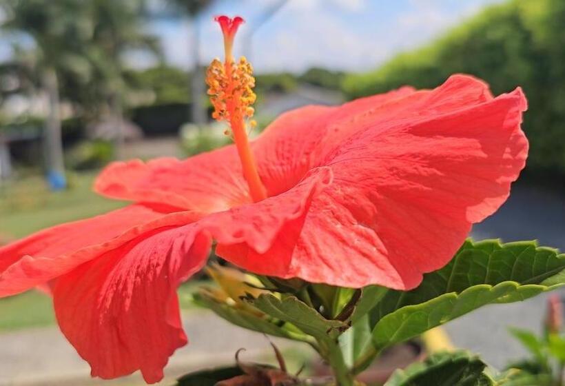 בית מלון כפרי Cabañas Cafeteras Cerritos