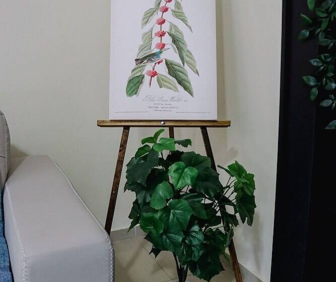 پانسیون Anda Nomad Hostel Oaxaca