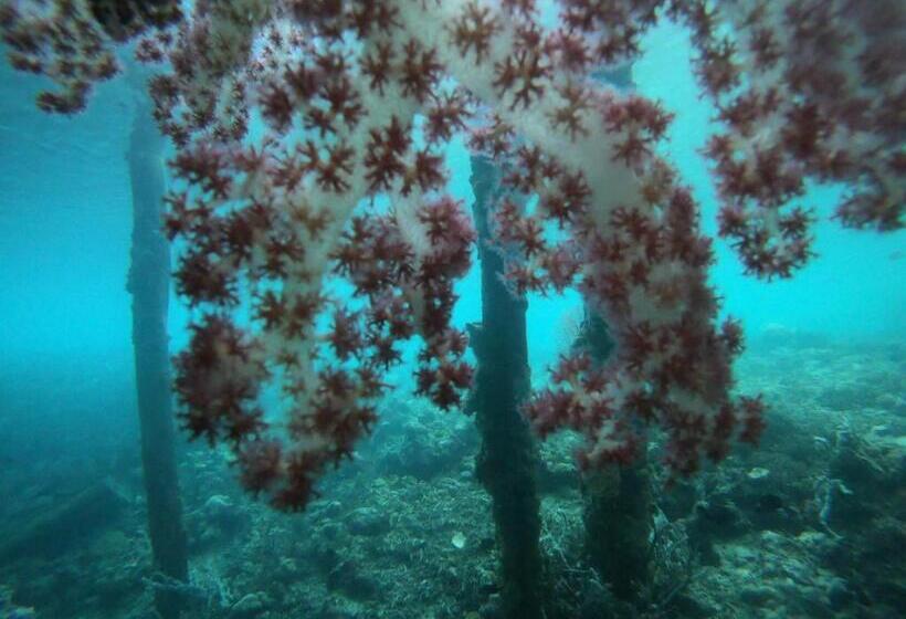 پانسیون Private Island Guest House