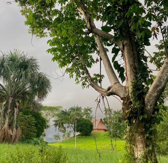 پانسیون Reserva Indígena Maguare