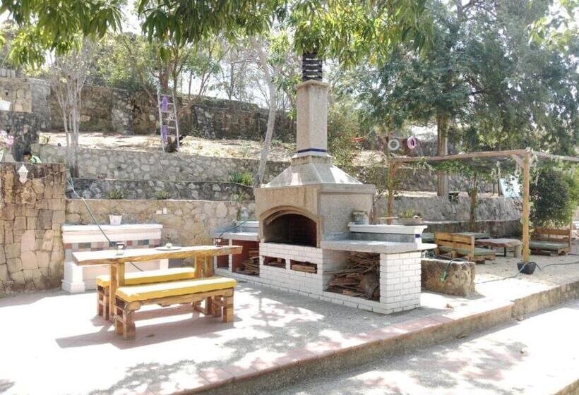 پانسیون Villa Mohana