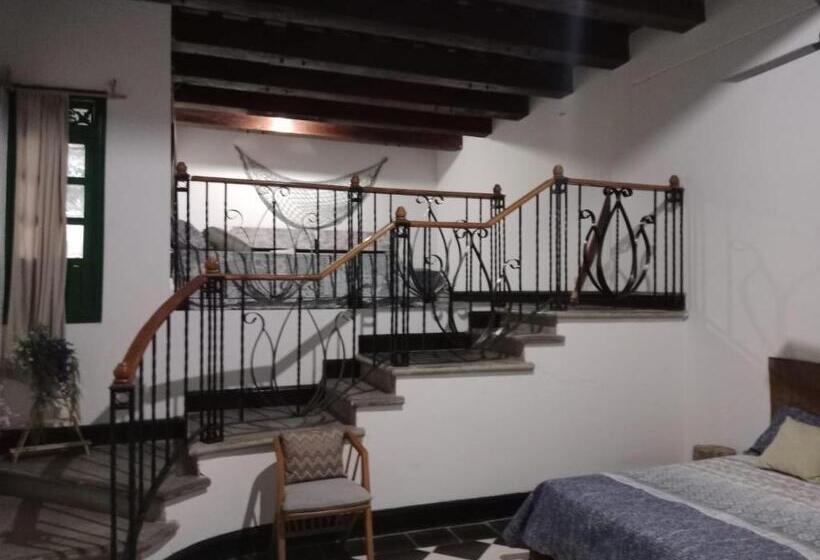 پانسیون Villa Mohana