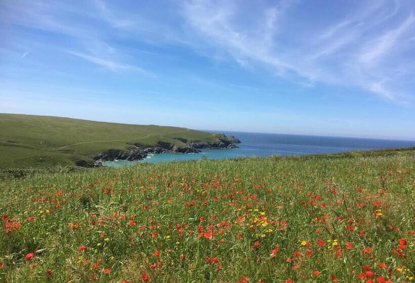 West Brae House B&b