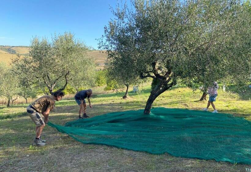 مبيت وإفطار Bed And Adventure Tramontana Resort   Camera Vista