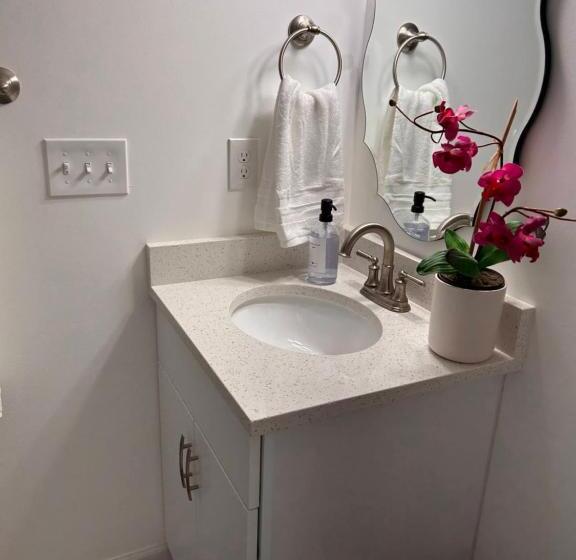 بنسيون Luxurious Basement Guest Suite In Elkridge