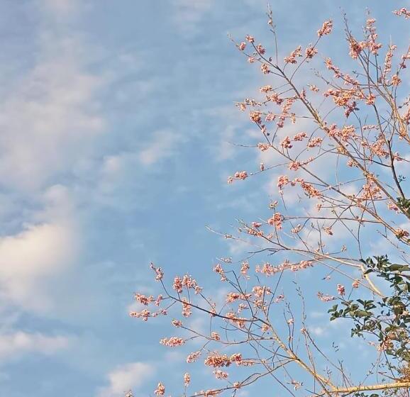 مبيت وإفطار La Natividad