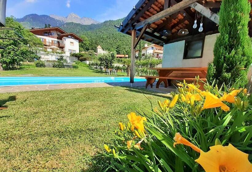 هتل Fröhlichhof Wohnung Panorama