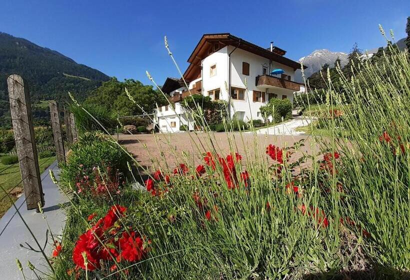 هتل Fröhlichhof Wohnung Panorama