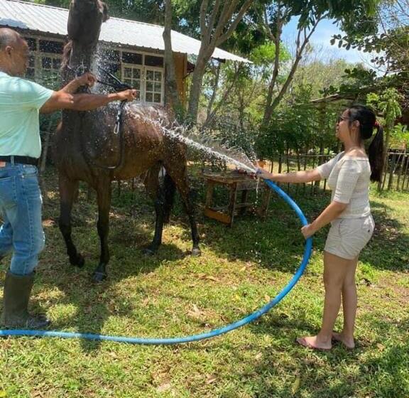 ホテル Vonfidel Ranch