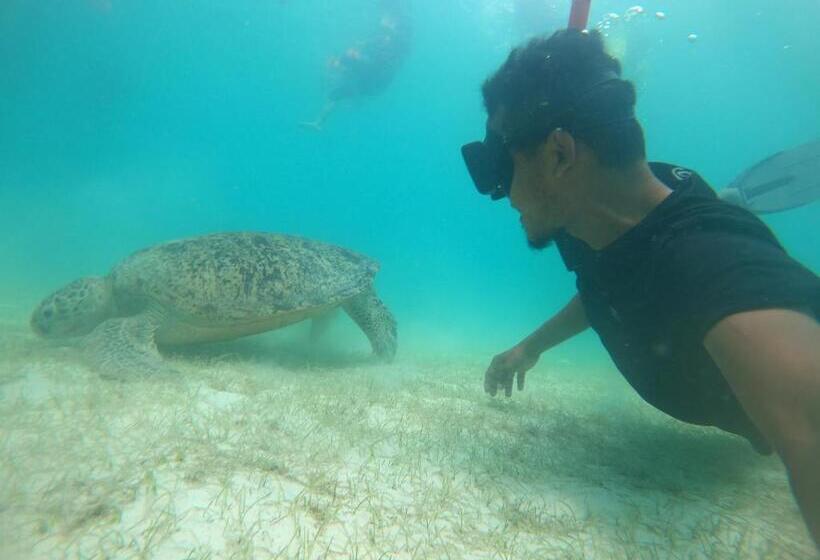 بنسيون Perhentian Idaman