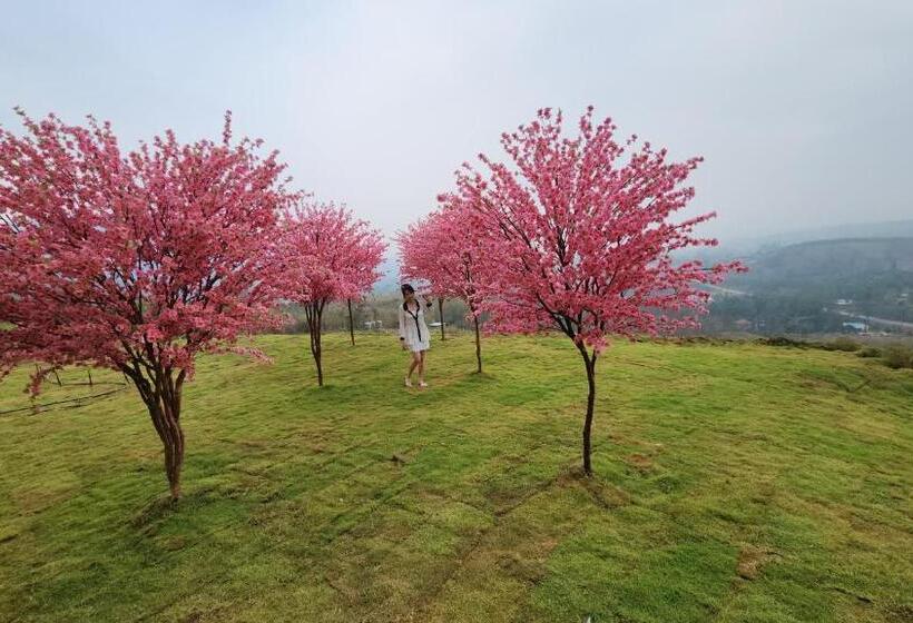 Resort Sirine Onsen รีสอร์ทออนเซนวิวทะเลหมอก