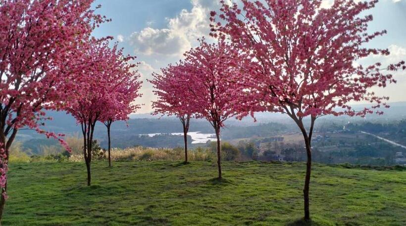 אתר נופש Sirine Onsen รีสอร์ทออนเซนวิวทะเลหมอก