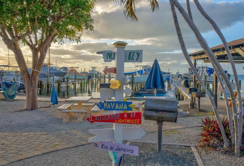 2br In Key Largo W Pool And Sunset Views