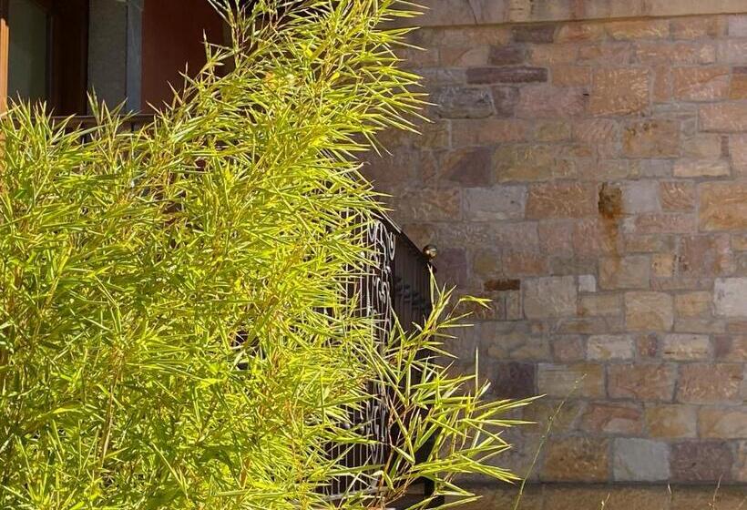 ホテル Apartamentos Calm & Nature   Adults Only