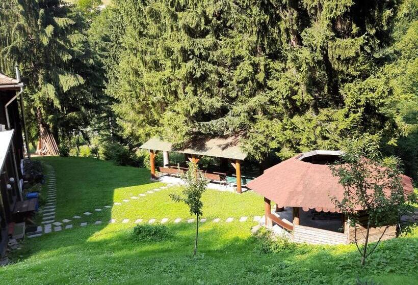 بنسيون Cabana Basmelor Cu Ciubar