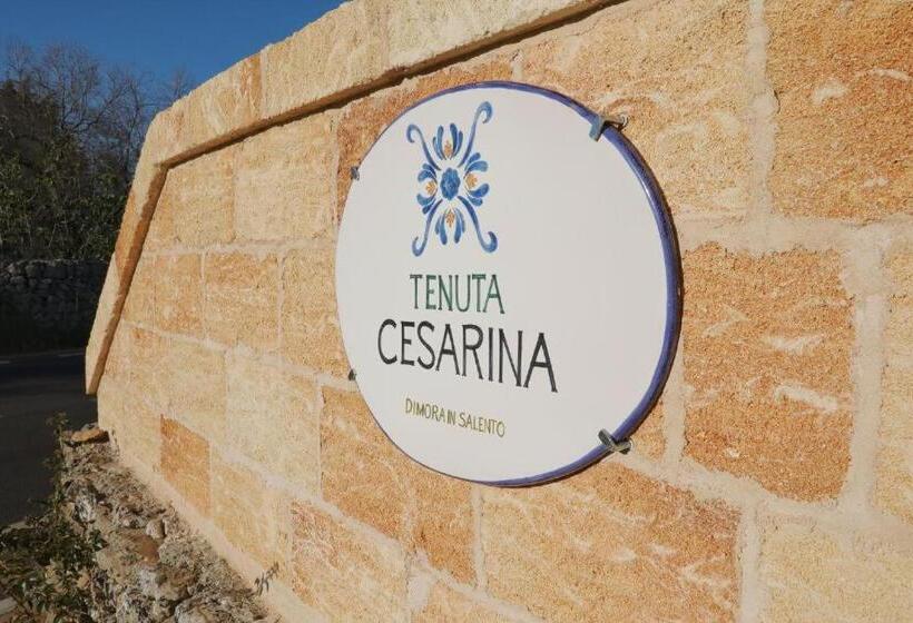 Cesarina Suite Apartment
