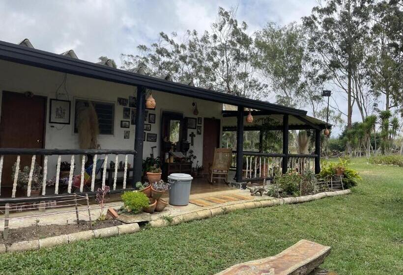 پانسیون Hostal Greenlandomesa