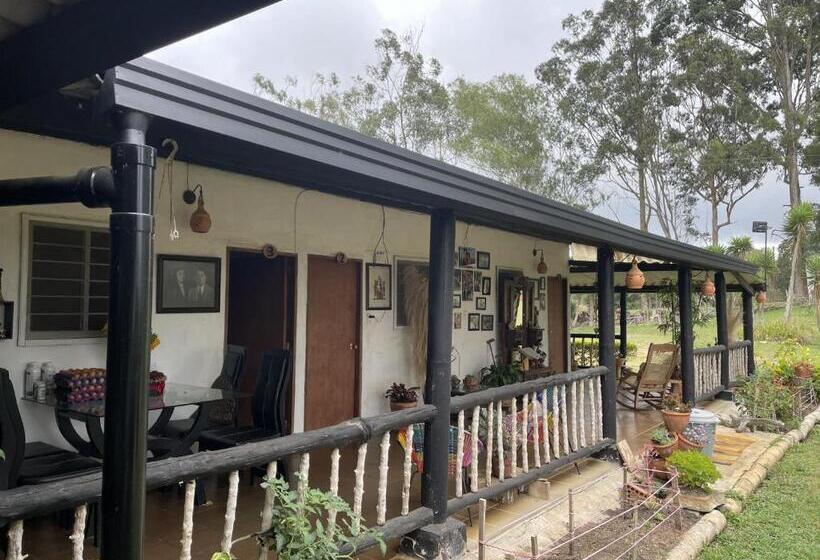 پانسیون Hostal Greenlandomesa