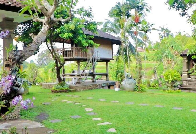 펜션 Mesari Cottage Guest House