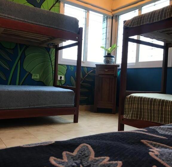 مبيت وإفطار Hostel House Casa De Los Pájaro