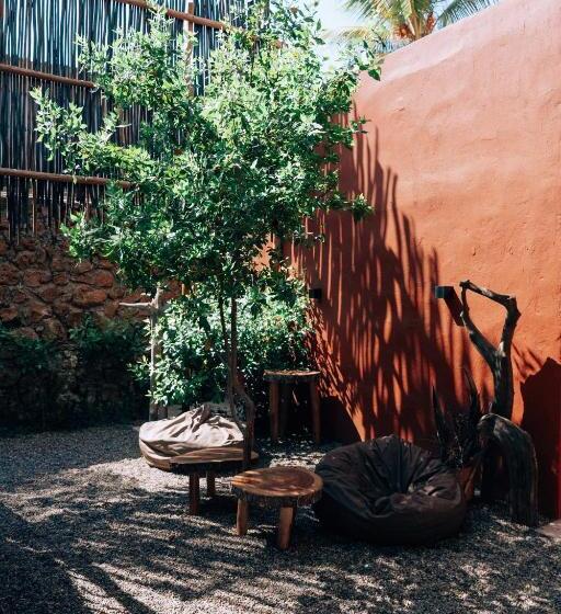 تختخواب و صبحانه Las Dunas Beach Guest House