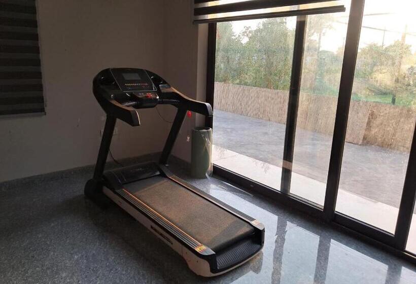 בית מלון כפרי Aarul Farms