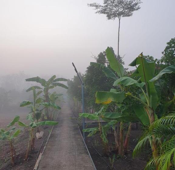 هتل Huai Ngu Farm Stay