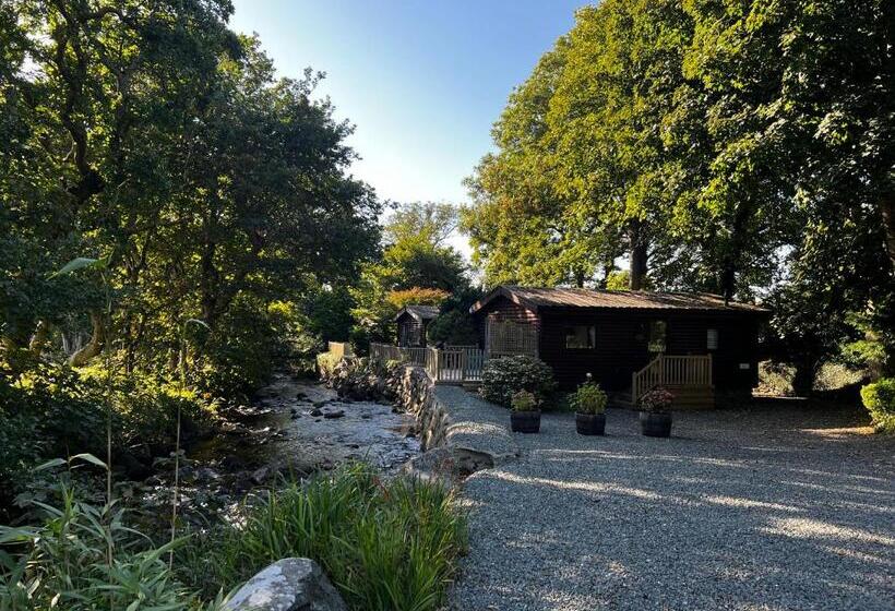 Old Mill Retreat, By River/sea/country Nr Barmouth Dogs