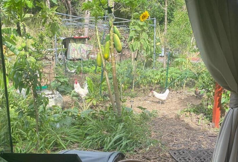 ベッドアンドブレックファースト Artsy Cabin On Organic Farm