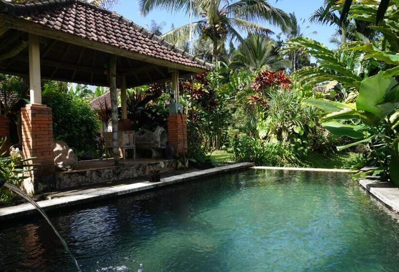 Bed and Breakfast Capital O 94012 Dewa Jati House