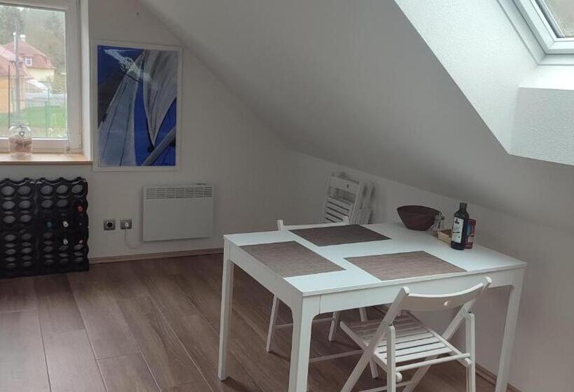 ベッドアンドブレックファースト Frejstejn House, Artist S Residence