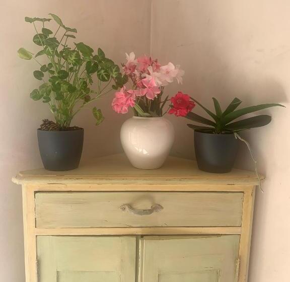 ベッドアンドブレックファースト La Rainette En Provence