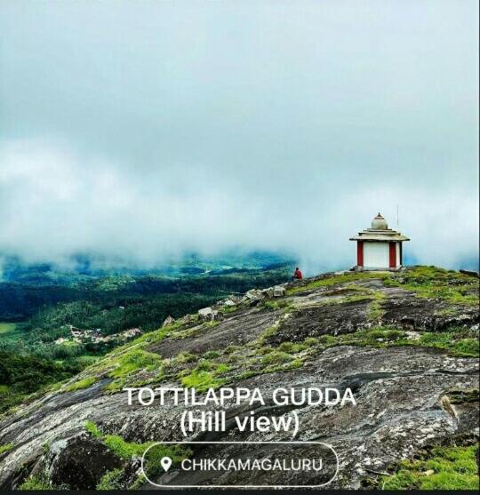 بنسيون Honey Beatle Homestay