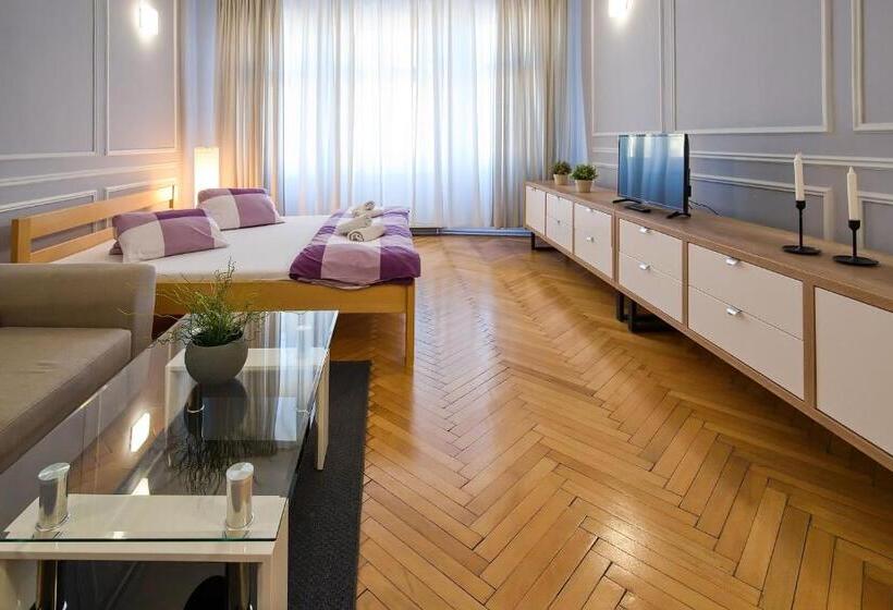 پانسیون Stodolní Apartment