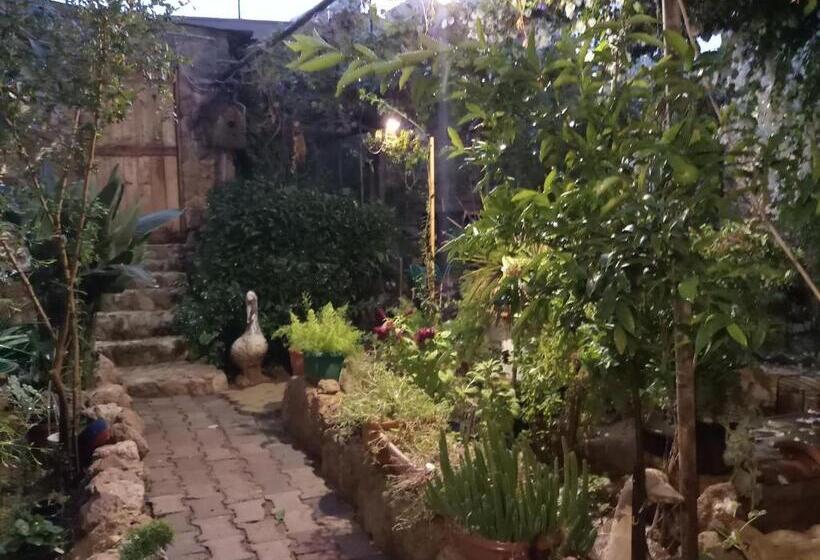 تختخواب و صبحانه Mystery Garden Guest House