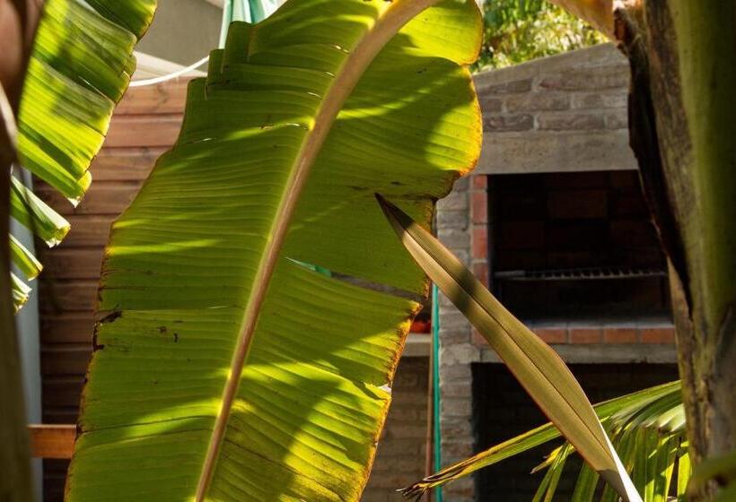 هتل Apartamentos Premium Con Yacuzzi Dunas Del Este