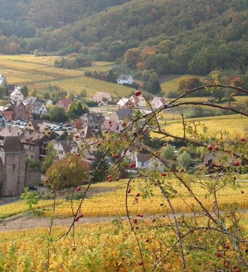 בית מלון כפרי Le Bastion De Riquewihr
