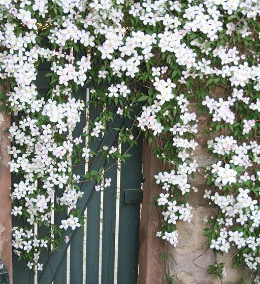 בית מלון כפרי Le Bastion De Riquewihr