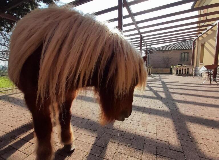 مبيت وإفطار Casale Del Gufo