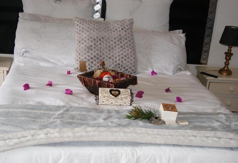 Пансион Atlas Guesthouse