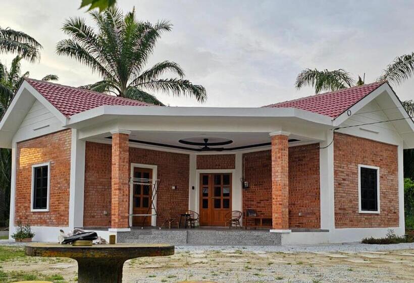 بنسيون Brik  N Bata