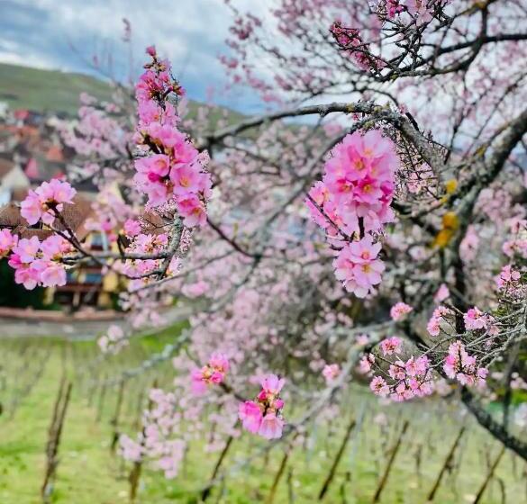 膳宿费 Gîte Chez Esté