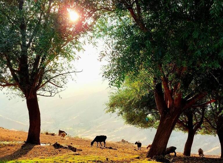 فندق صغير Le Fortin