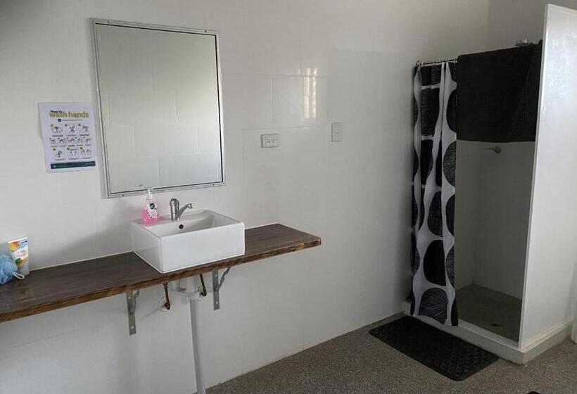 فندق The Piccadilly